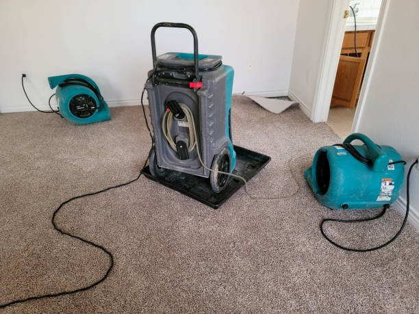 Best Water damage contractors near me  in La Feria, TX