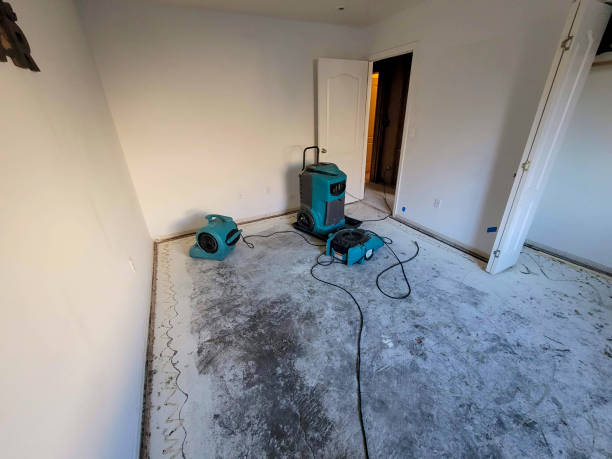 Best Flood damage cleanup  in La Feria, TX