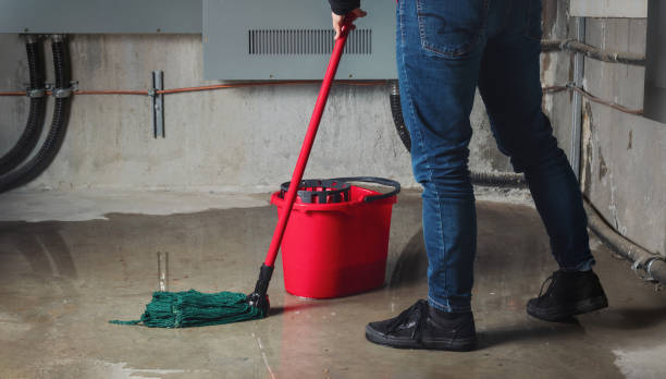 Best Water damage restoration process  in La Feria, TX