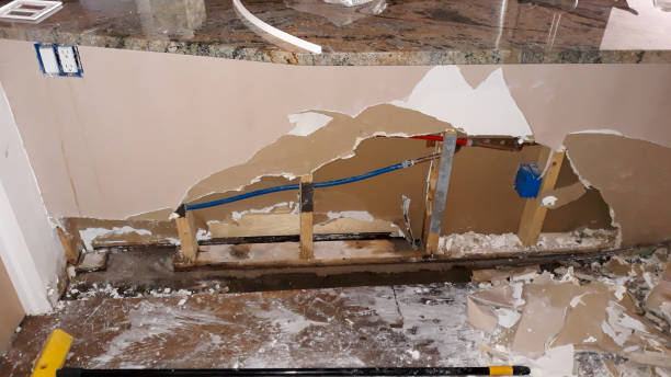 Best Water damage restoration near me  in La Feria, TX