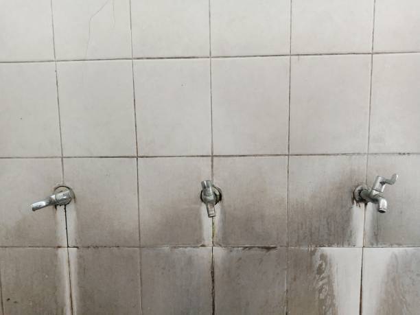 Best Water damage restoration experts  in La Feria, TX
