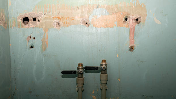 Best Sewage cleanup and water damage restoration  in La Feria, TX
