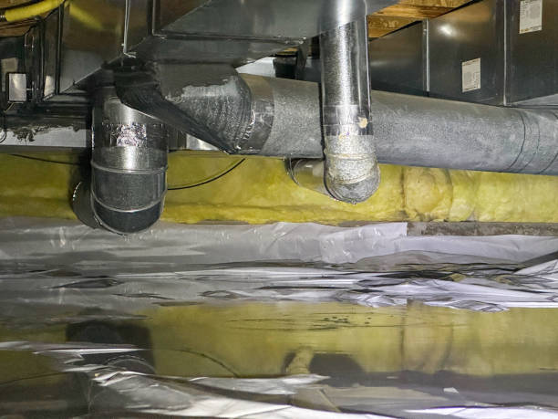 Best Water damage restoration near me  in La Feria, TX