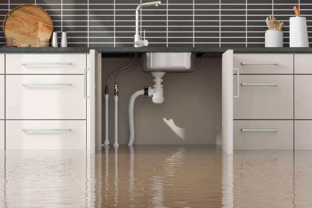 Best Ceiling water damage repair  in La Feria, TX
