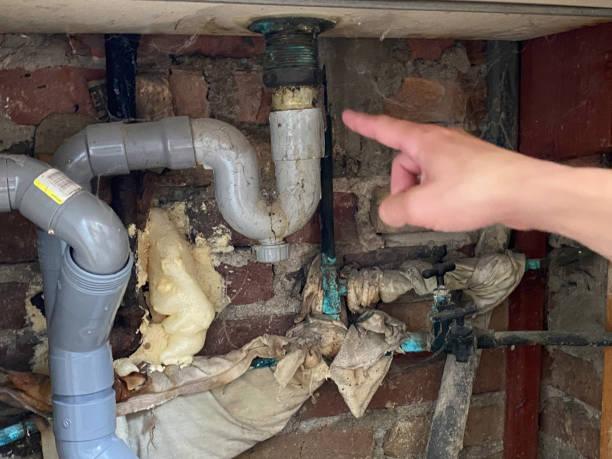 Best Professional water damage repair  in La Feria, TX